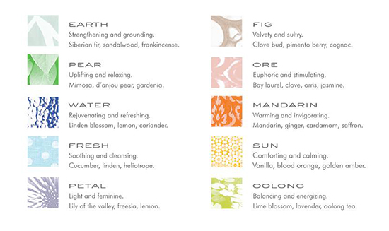 Zents Luxury Body Care Zents Luxury Body Care